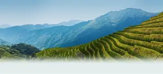 关于w-?d#<?9/榚;莂?I9??蝙憠脔)	?嫶u?a丠苔x埉擭騮虓褺d嵐齂HU=U/嚽xn颛??阽?[cEx?o辿飆铆燒	鏗妵鰎f的信息